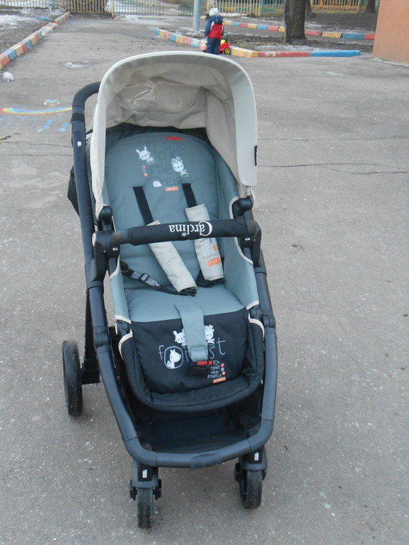 Каролина Форест