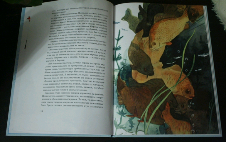 Приключение карпика