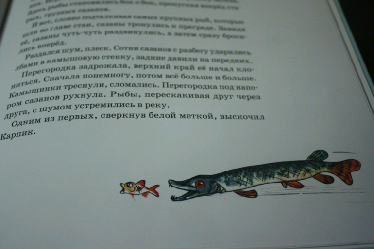 Приключение карпика