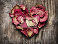 Природоведение.