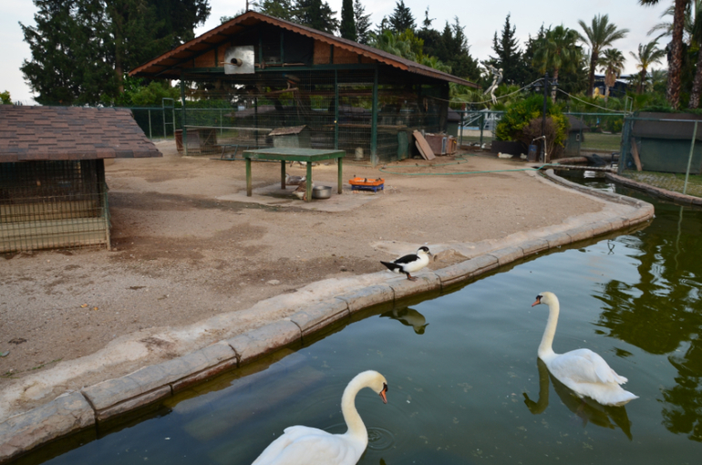 Экскурсии Турция в Кемер, Анталию, Динопарк, и Тахталы