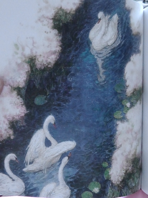 плюс в книжные рядочки