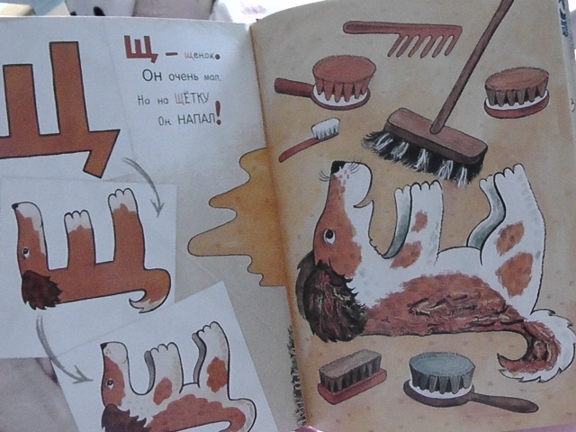 плюс в книжные рядочки