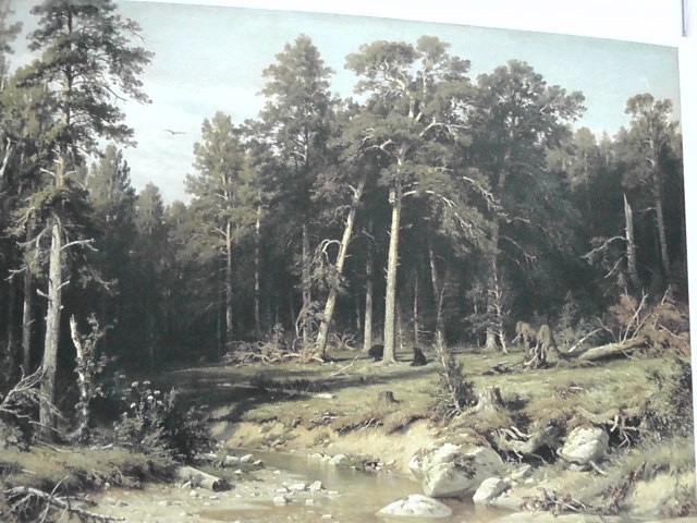 демонстрационные материалы (искусство изобразительное)