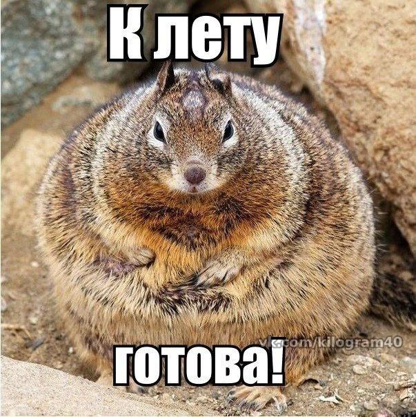 День 0. Отчет и подведение итогов