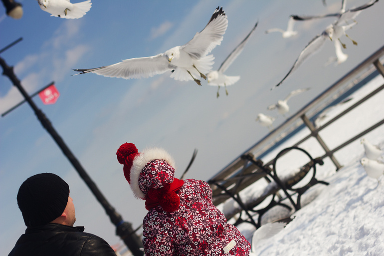Д/З - Эпизод пятый. Линии в кадре.