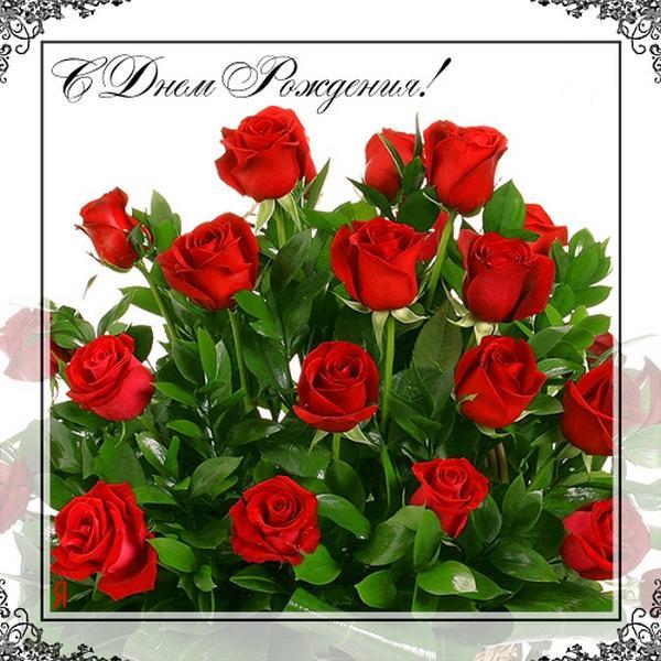 6d825b6c6feb139fe19745dd2b948bc0.jpg