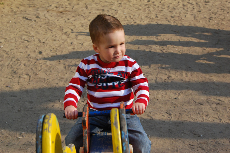 Аллергия, новая стрижка и прогулка