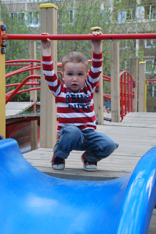 Аллергия, новая стрижка и прогулка