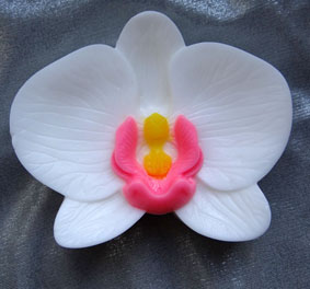 Нежная орхидея