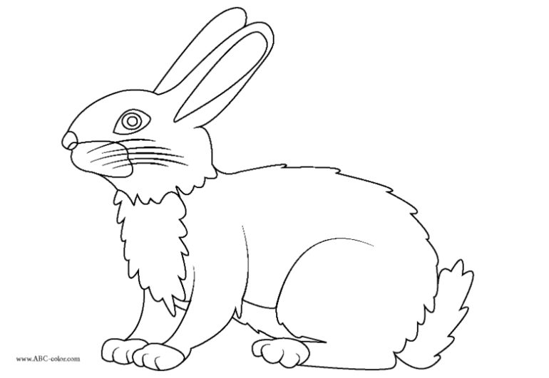 5ea1127aaf5617e71c8a8c4c23ff09bf.png