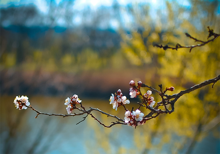 Хочу учится) Примете?