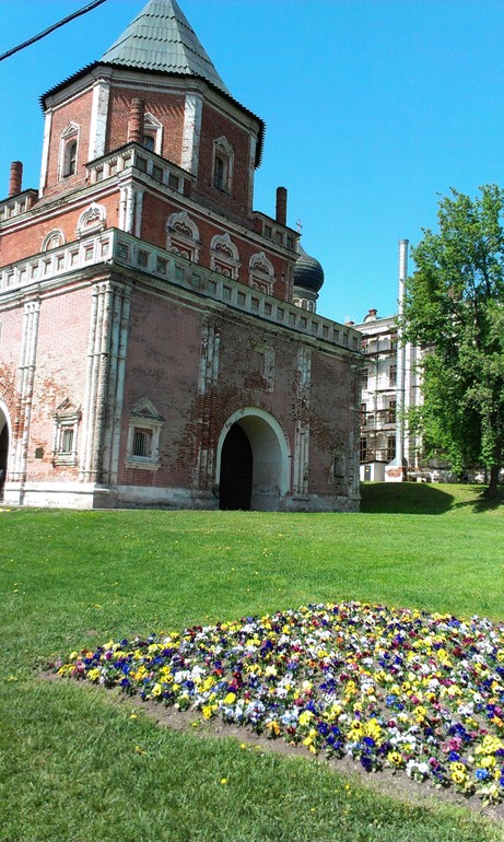 Мысли вслух