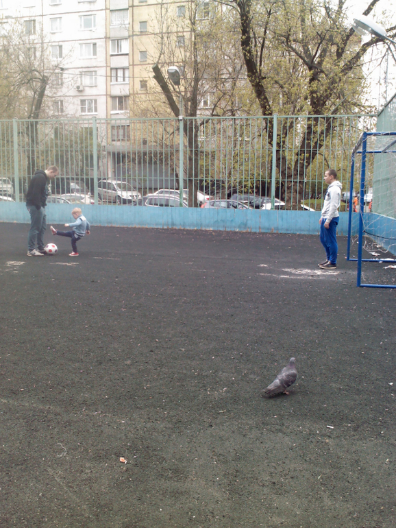 Мужские прогулки)))