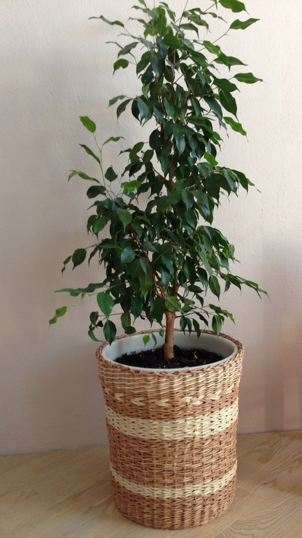 Еще одно мое увлечение...