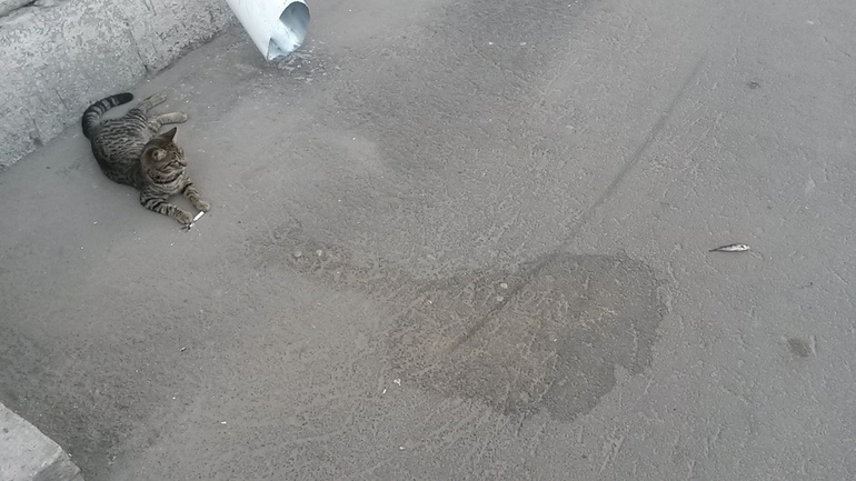 реклама курения))))