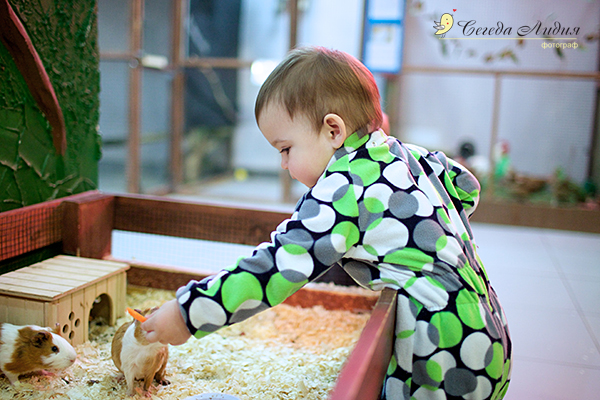 Контактный зоопарк