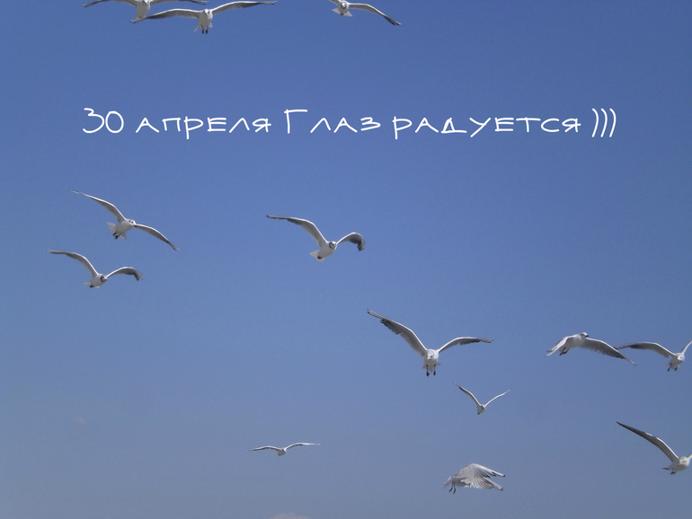 b7eff873402a92f2ade26a267fcfd33a.jpg
