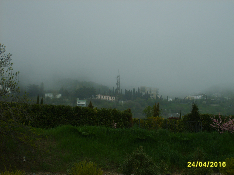 Никитинский ботанический сад.