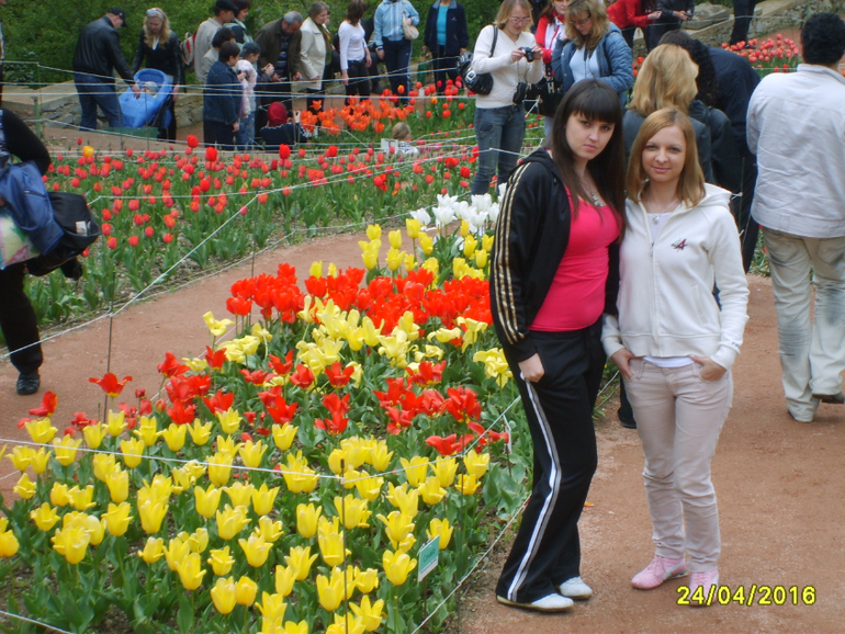 Никитинский ботанический сад.