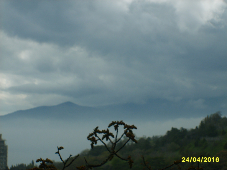 Никитинский ботанический сад.