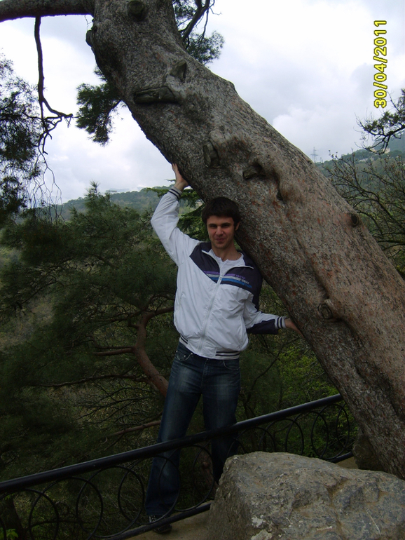 Никитинский ботанический сад.