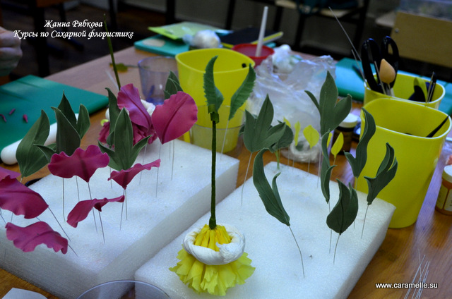 Отчет о прошедших курсах 28.02-02.03.2014 г.