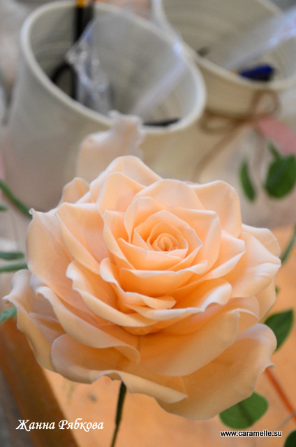 Фотоотчет с курсов по сахарным цветам в г. Уфа)))