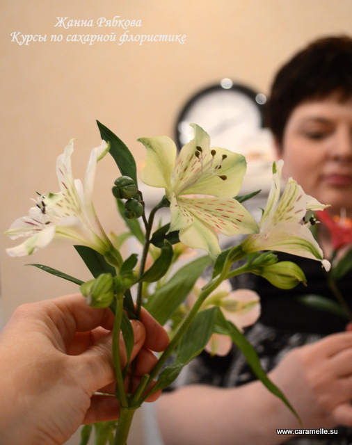 Фотоотчет с курсов по сахарным цветам в г. Уфа)))