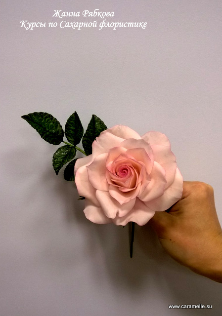 Отчет о прошедших курсах 28.02-02.03.2014 г.