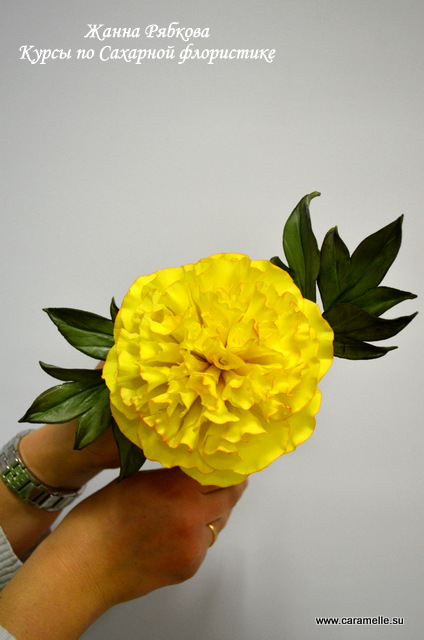 Отчет о прошедших курсах 28.02-02.03.2014 г.