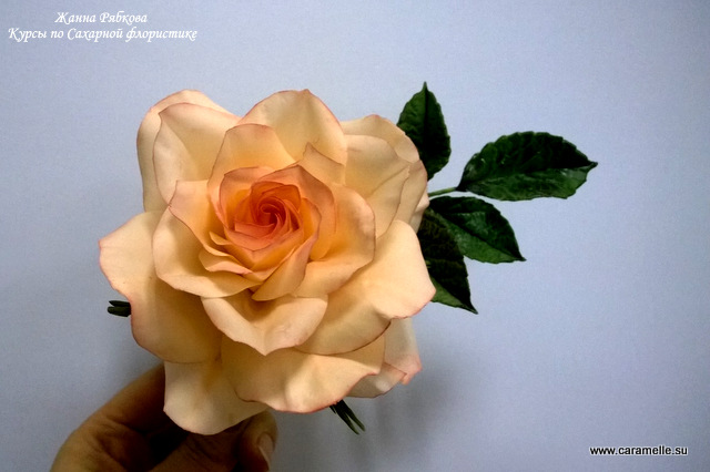 Отчет о прошедших курсах 28.02-02.03.2014 г.