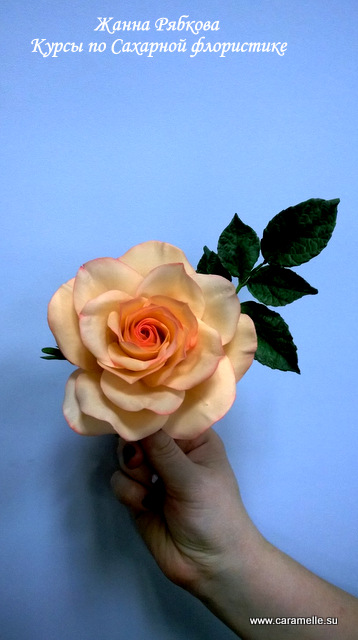 Отчет о прошедших курсах 28.02-02.03.2014 г.