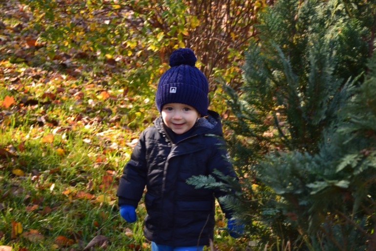 Чудесный денек!