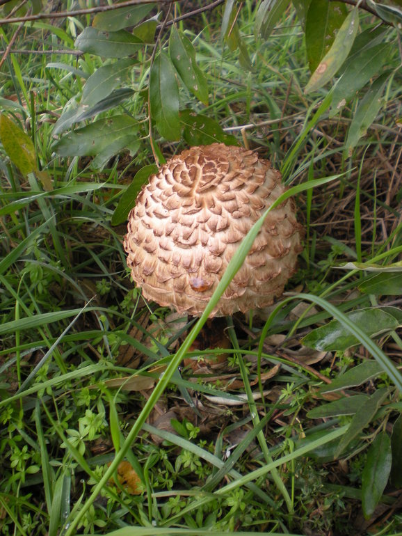 Рыбалка,охота и чудо-осень!!!!