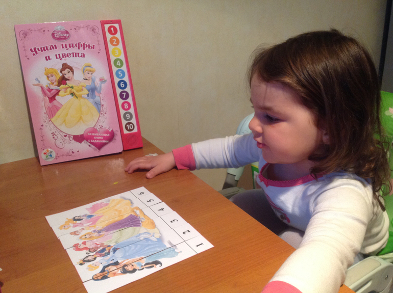 ТЗ Принцессы