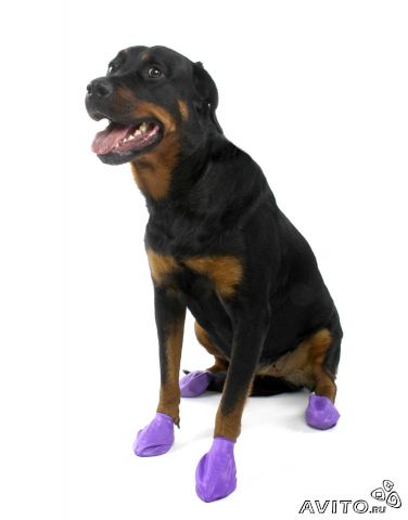 Обувь для маленьких собак, есть ли силиконовые ботинки?