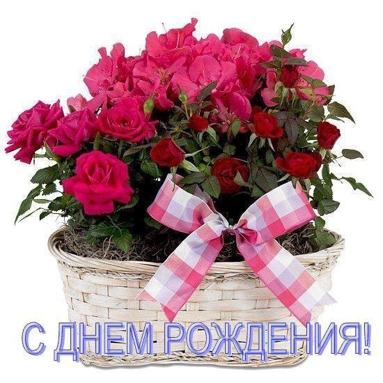 073beed2c6e02f4efe94e0284eae143f.jpg