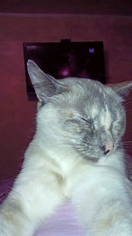 С кем разговаривает???