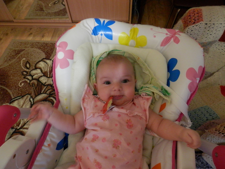 Хомяку 3 месяца