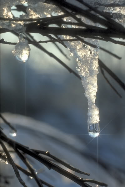 День 1. Весна – время года.