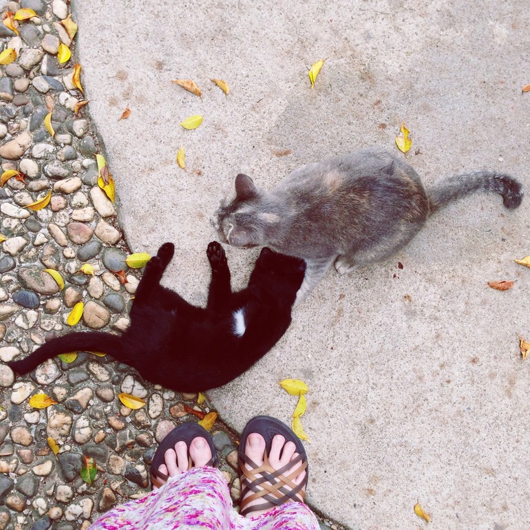 наша поездка в телефонной версии)