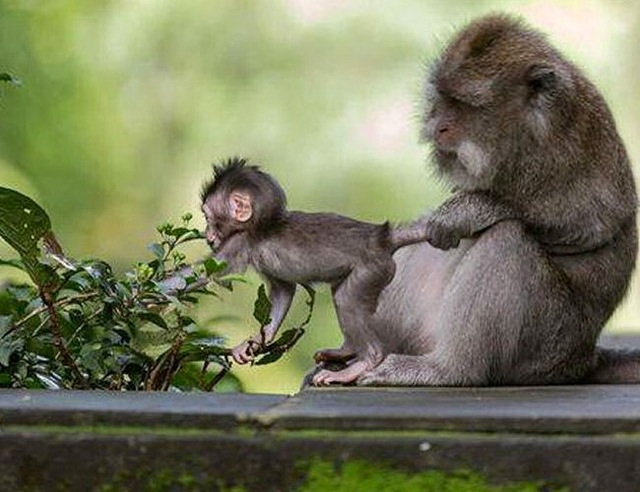 и так каждый день