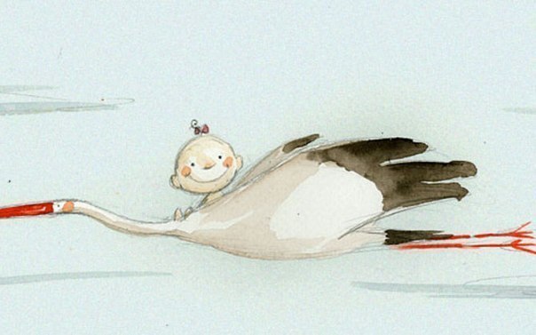 Аист vs Секс