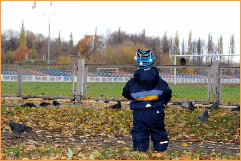 Наша птичья неделя