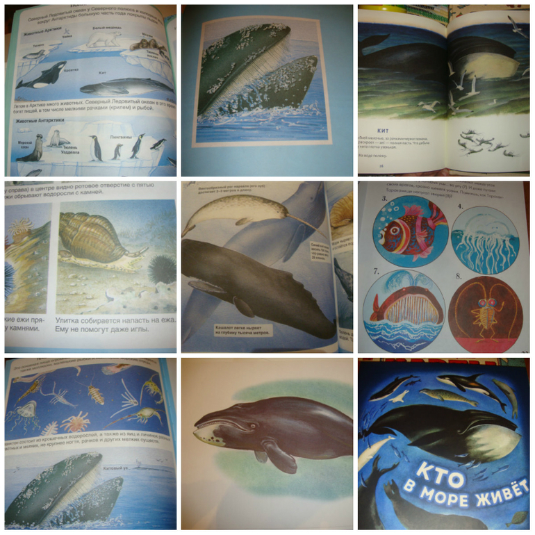 ТЗ "Улитка и Кит" (проект "Читаем и играем")