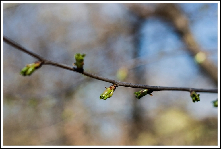 Останній день березня..