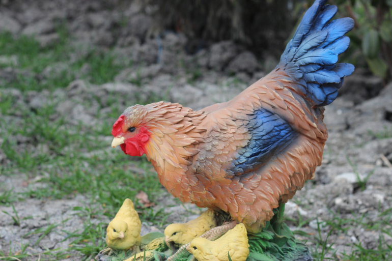 Одна страна - одна команда!