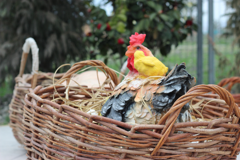 Одна страна - одна команда!