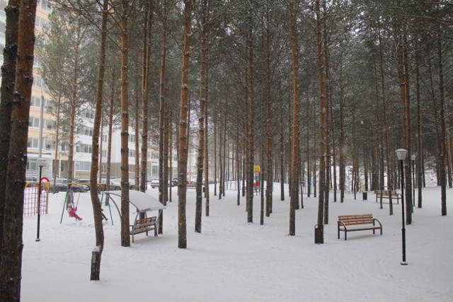 А у нас за окном зима)))